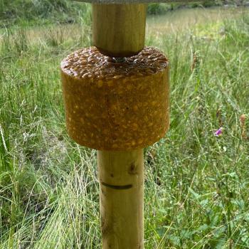 Preview: Wildlutscher Spezial Leckstein Salz Mais - 3 kg